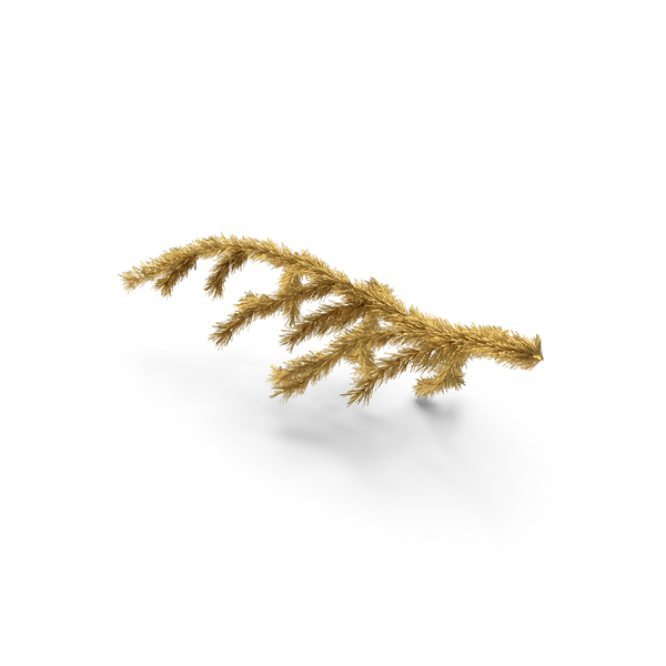 Wreath: Christmas Fir Branch Gold PNG & PSD Images Wreath: Christmas Fir Branch Gold PNG & PSD Images