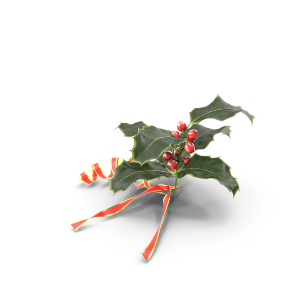 Decoration: Christmas Holly PNG & PSD Images Decoration: Christmas Holly PNG & PSD Images