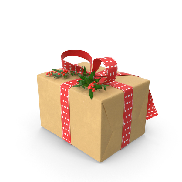 Christmas Presant / Christmas Present Ideas For Someone Who Has