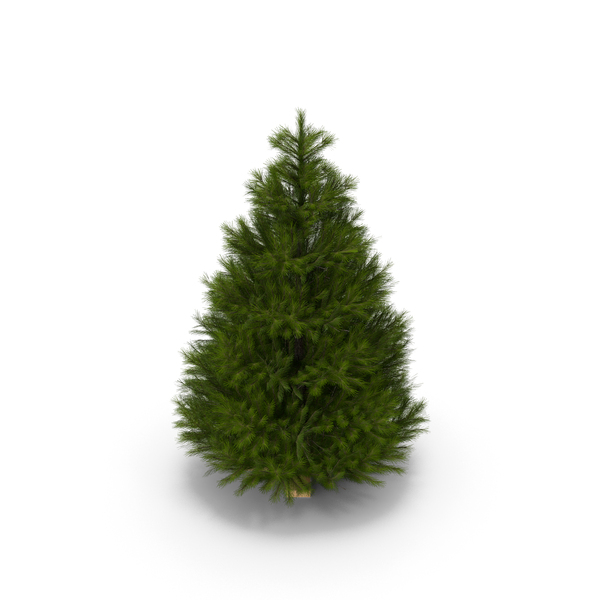 Christmas Tree PNG & PSD Images Christmas Tree PNG & PSD Images