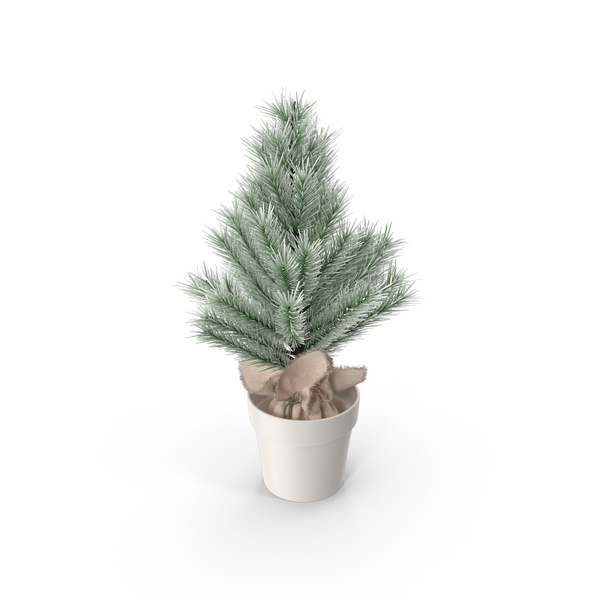 Christmas Tree PNG & PSD Images Christmas Tree PNG & PSD Images
