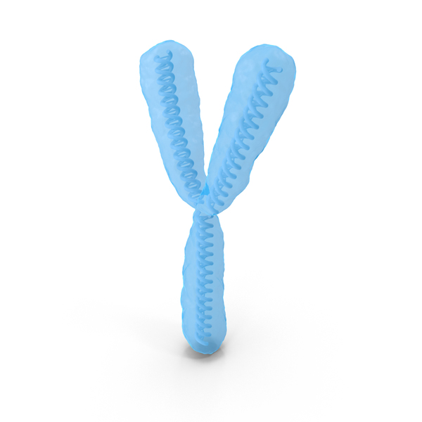 Chromosome Y PNG & PSD Images Chromosome Y PNG & PSD Images