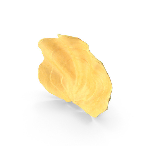 Clamshell: Clam Shell PNG & PSD Images Clamshell: Clam Shell PNG & PSD Images