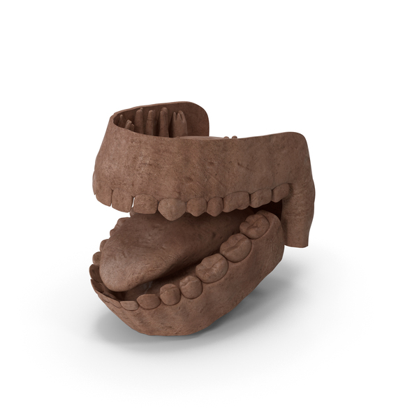 Clay Human Mouth Gums Teeth and Tongue PNG & PSD Images