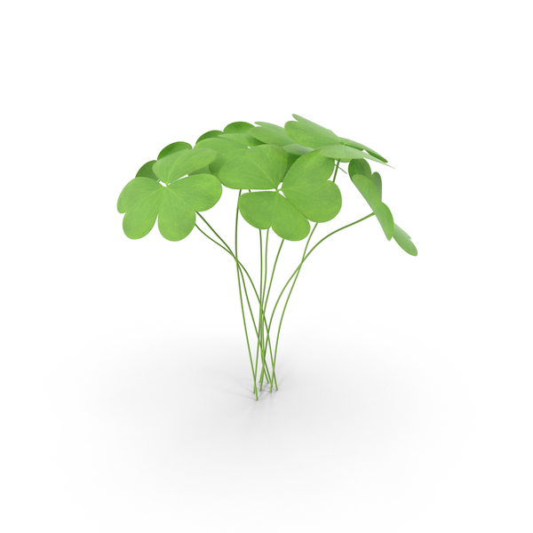 Clover: Clovers PNG & PSD Images Clover: Clovers PNG & PSD Images