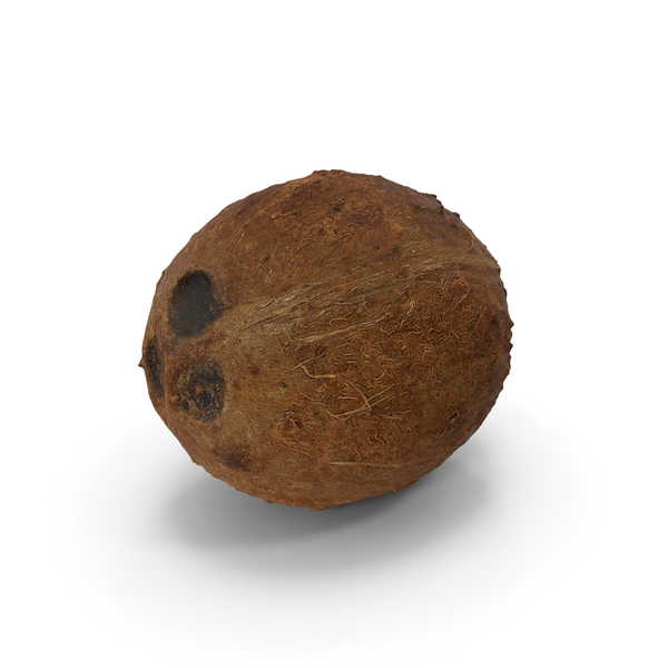 Coconut PNG & PSD Images Coconut PNG & PSD Images