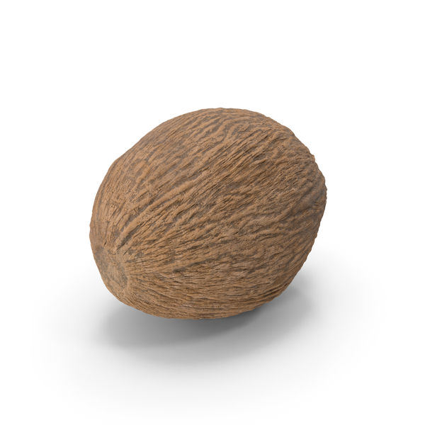 Coconut PNG & PSD Images