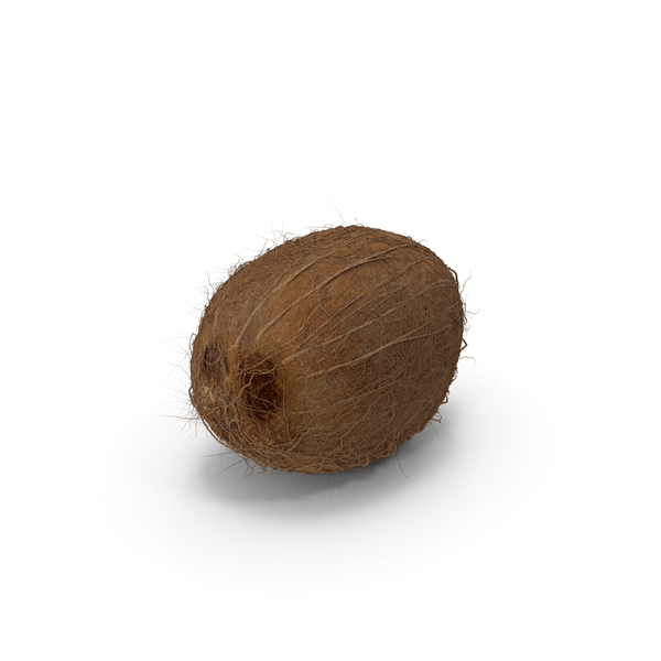 Coconut PNG & PSD Images Coconut PNG & PSD Images
