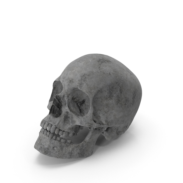 Concrete Skull PNG & PSD Images Concrete Skull PNG & PSD Images