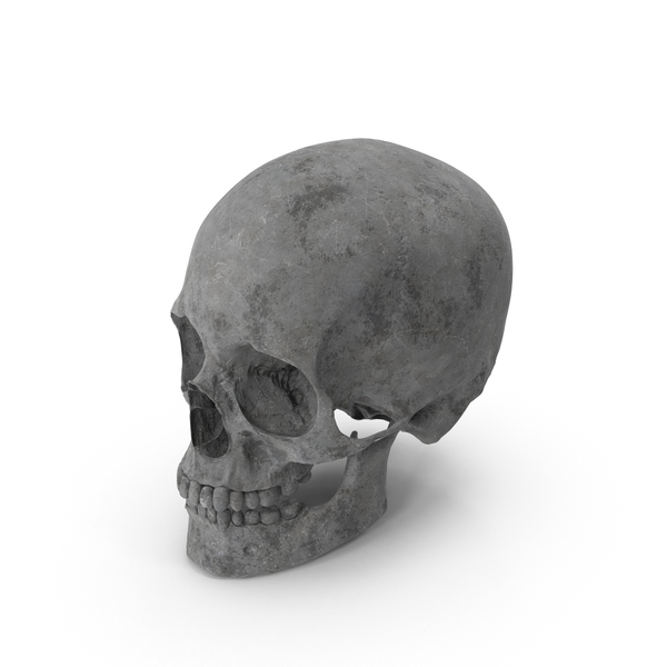 Concrete Skull PNG & PSD Images Concrete Skull PNG & PSD Images