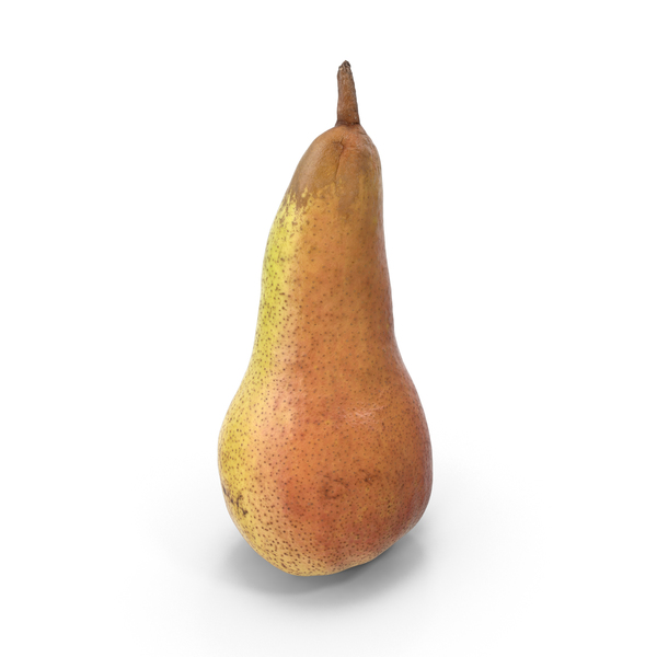 Conference Pear PNG & PSD Images Conference Pear PNG & PSD Images