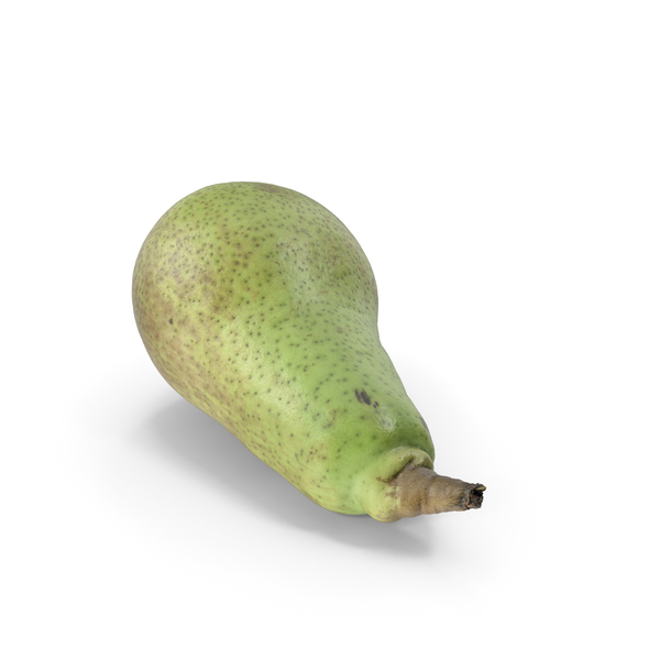 Conference Pear PNG & PSD Images Conference Pear PNG & PSD Images