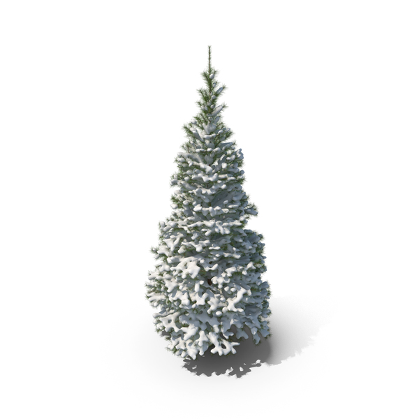 Tree: Conifer Covered in Snow PNG & PSD Images Tree: Conifer Covered in Snow PNG & PSD Images