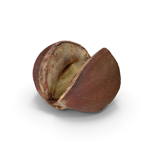 Cooked Chestnut PNG & PSD Images Cooked Chestnut PNG & PSD Images