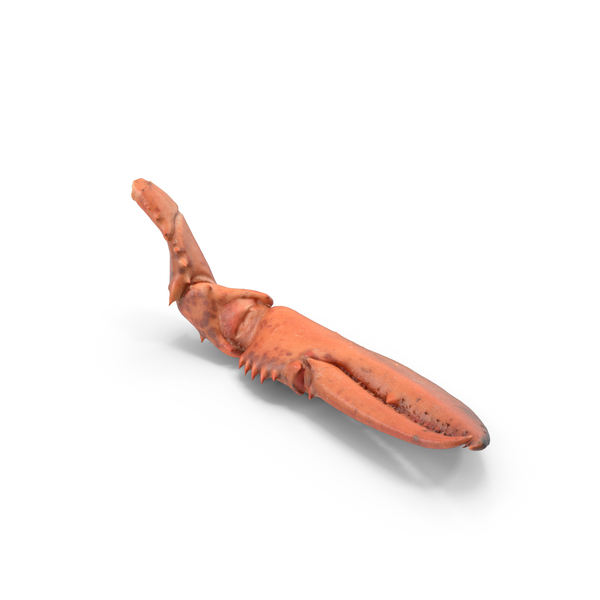 Cooked Lobster Claw PNG & PSD Images Cooked Lobster Claw PNG & PSD Images