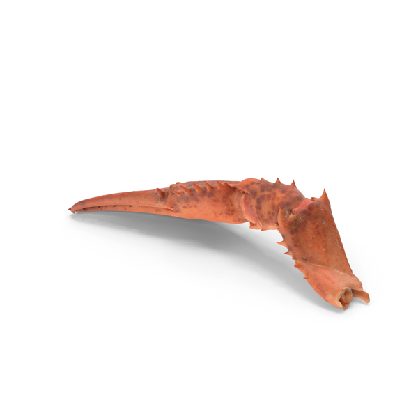 Cooked Lobster Claw PNG & PSD Images Cooked Lobster Claw PNG & PSD Images