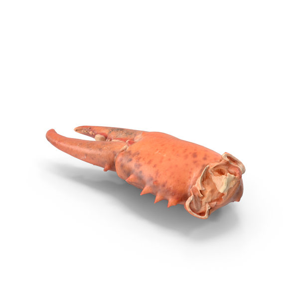 煮熟的龙虾爪PNG和PSD图像