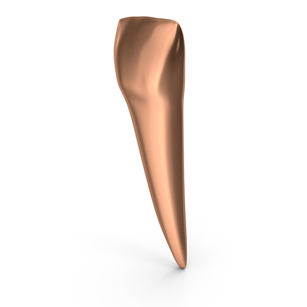 Copper Human Teeth Lower Lateral Incisor PNG & PSD Images Copper Human Teeth Lower Lateral Incisor PNG & PSD Images