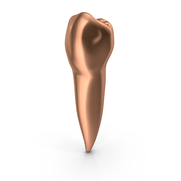 Copper Human Teeth Lower Second Premolar PNG & PSD Images Copper Human Teeth Lower Second Premolar PNG & PSD Images