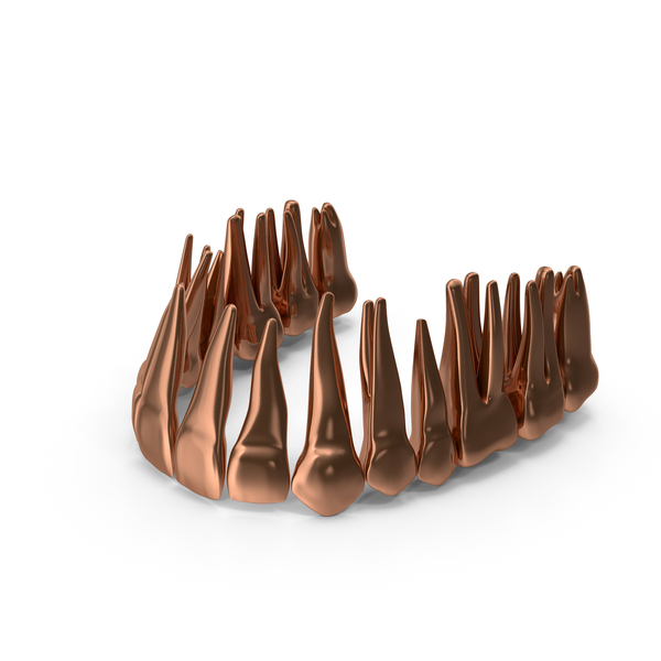 Teeth: Copper Human Upper Jaw Teeths PNG & PSD Images Teeth: Copper Human Upper Jaw Teeths PNG & PSD Images