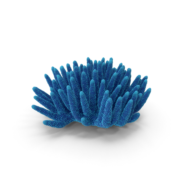 05 M: Coral Blue PNG & PSD Images 05 M: Coral Blue PNG & PSD Images