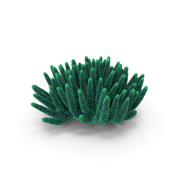 Reef: Coral Green PNG & PSD Images Reef: Coral Green PNG & PSD Images