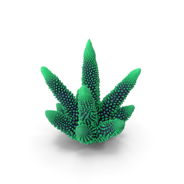 Reef: Coral Green PNG & PSD Images Reef: Coral Green PNG & PSD Images