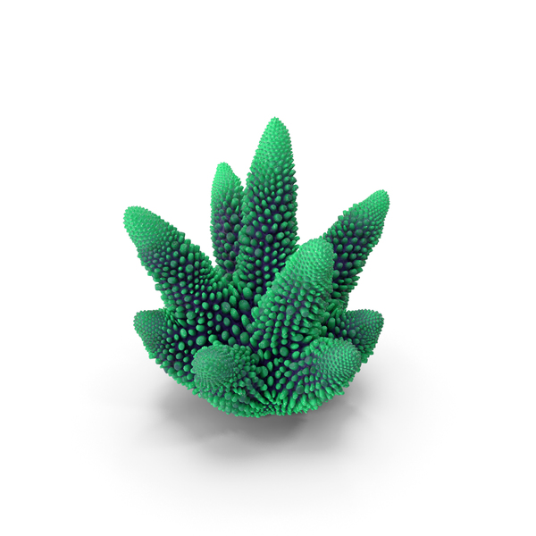 Reef: Coral green PNG & PSD Images Reef: Coral green PNG & PSD Images