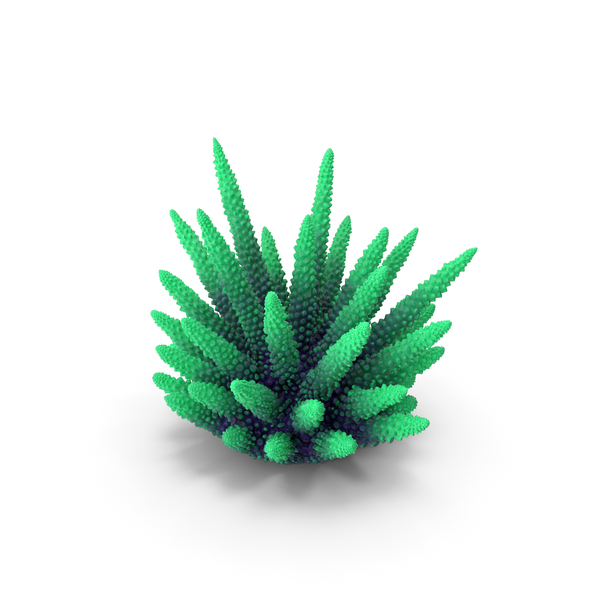 Reef: Coral Green PNG & PSD Images Reef: Coral Green PNG & PSD Images