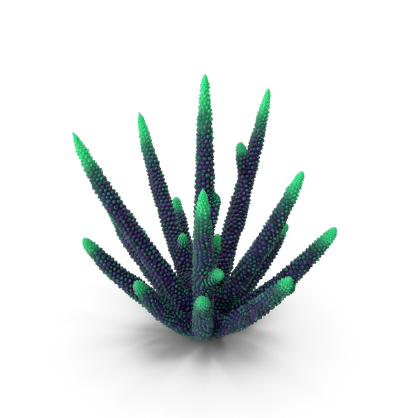 Reef: Coral Green PNG & PSD Images Reef: Coral Green PNG & PSD Images