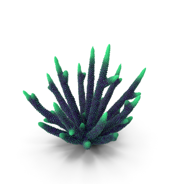 Reef: Coral Green PNG & PSD Images Reef: Coral Green PNG & PSD Images