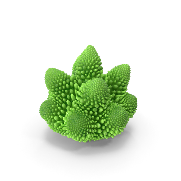 Reef: Coral Green PNG & PSD Images Reef: Coral Green PNG & PSD Images