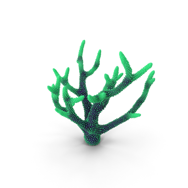 Reef: Coral Green1 PNG & PSD Images Reef: Coral Green1 PNG & PSD Images