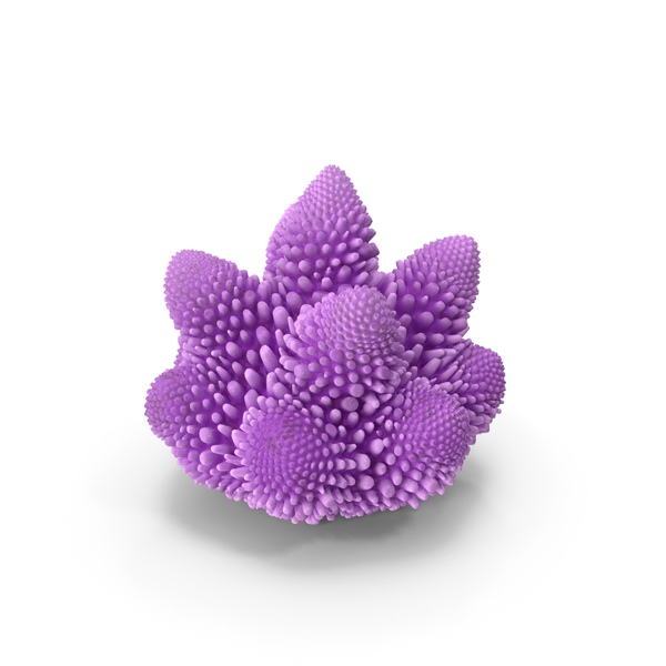 Reef: Coral Pink PNG & PSD Images Reef: Coral Pink PNG & PSD Images