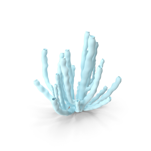 Coral Reef: Corals PNG & PSD Images Coral Reef: Corals PNG & PSD Images
