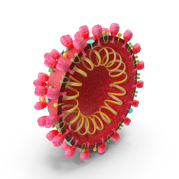 Coronavirus: Corona Virus Structure PNG & PSD Images