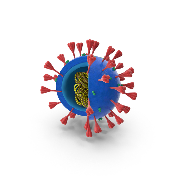 Coronavirus Cross-section with RNA PNG & PSD Images