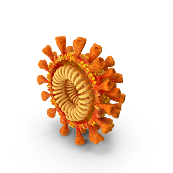 Coronavirus SARS-CoV Cross Section PNG & PSD Images