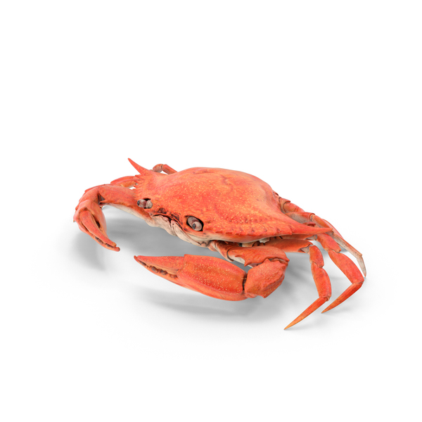crab game cosmetics