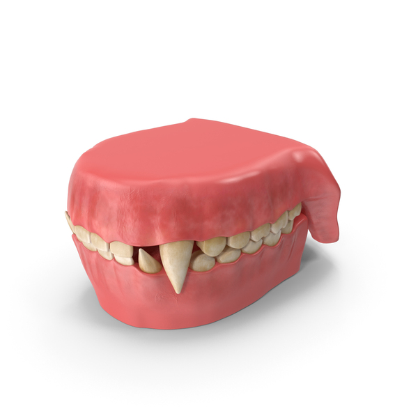 Animal Teeth: Creature Jaw PNG & PSD Images Animal Teeth: Creature Jaw PNG & PSD Images