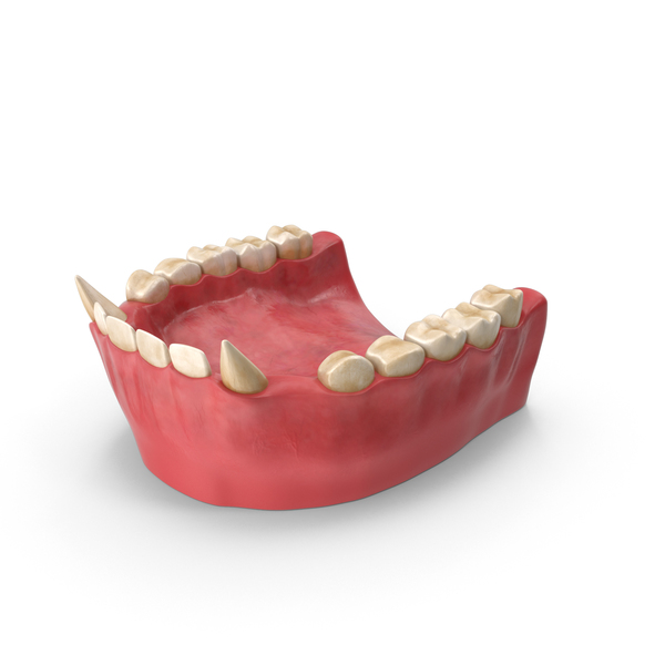 Animal Teeth: Creature Lower Jaw PNG & PSD Images Animal Teeth: Creature Lower Jaw PNG & PSD Images
