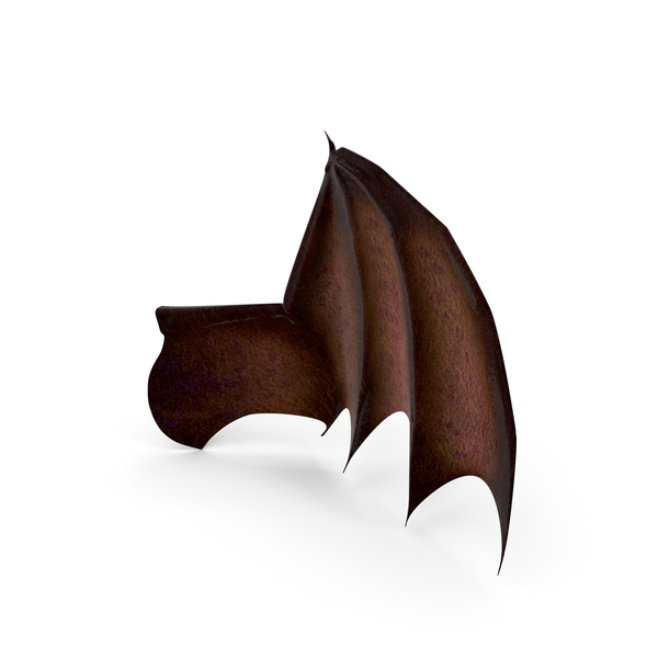 Dragon: Creature Wing PNG & PSD Images Dragon: Creature Wing PNG & PSD Images