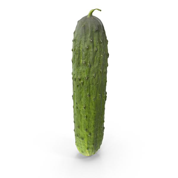 Cucumber PNG Images & PSDs for Download | PixelSquid - S111858599