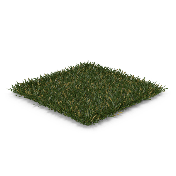 Grasses: Cut Square Lawn Half Dry Grass Patch PNG & PSD Images Grasses: Cut Square Lawn Half Dry Grass Patch PNG & PSD Images