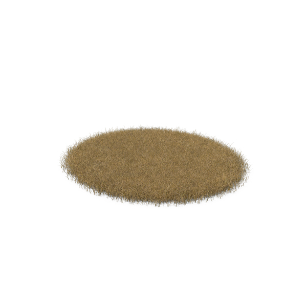 Grasses: Dead Grass Patch PNG & PSD Images Grasses: Dead Grass Patch PNG & PSD Images