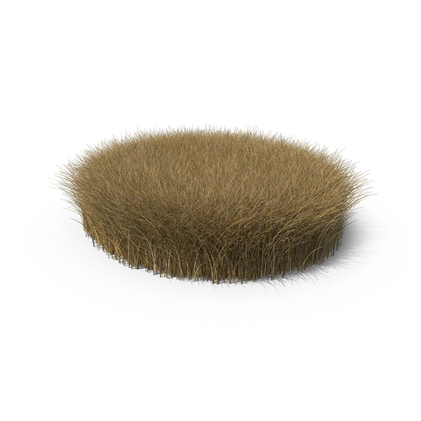 Grasses: Dead Grass Patch PNG & PSD Images Grasses: Dead Grass Patch PNG & PSD Images