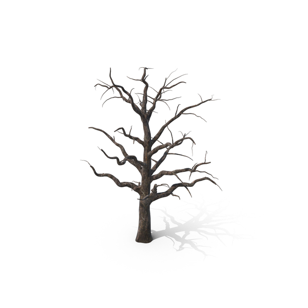 Spooky: Dead Tree PNG & PSD Images