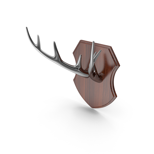Mounted: Deer Antlers PNG & PSD Images