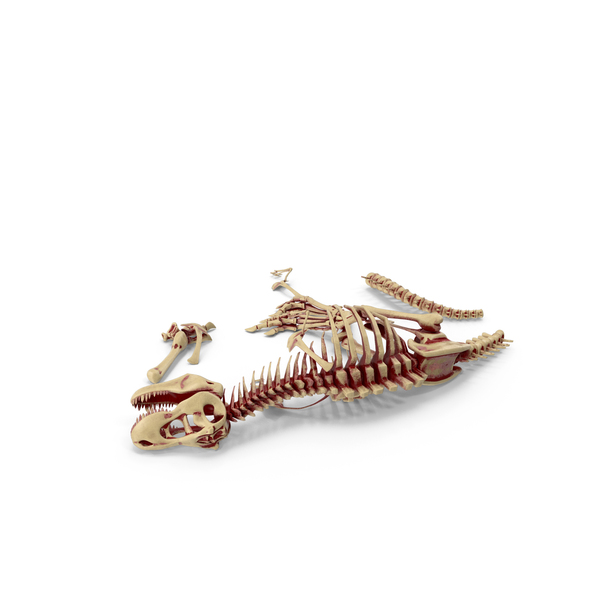 Dinosaur: Dinosaurs Skeleton On Ground With Blood PNG & PSD Images Dinosaur: Dinosaurs Skeleton On Ground With Blood PNG & PSD Images