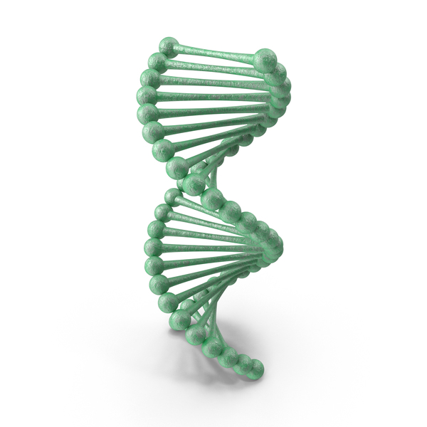 DNA PNG & PSD Images